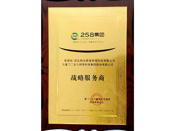 258集團戰(zhàn)略服務商